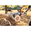 STIHL MS 171